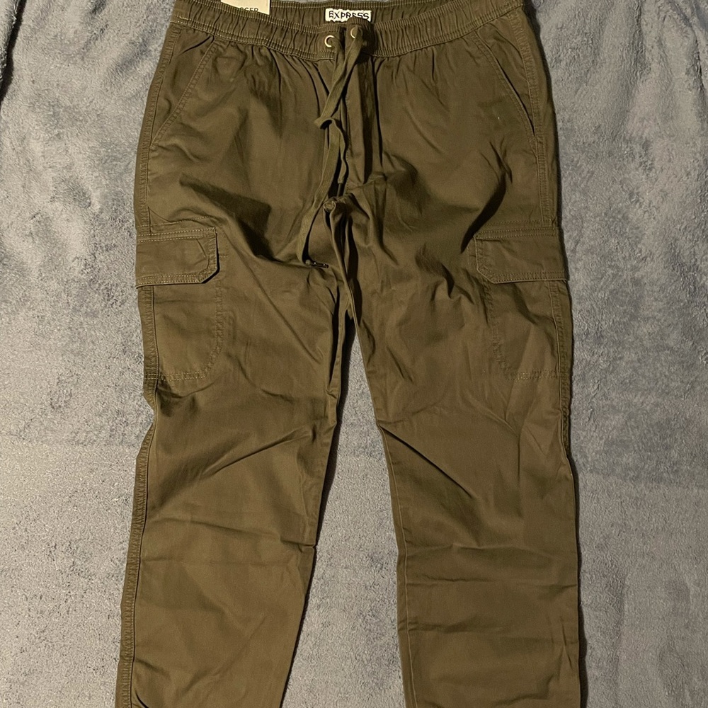 Express Jogger Pants